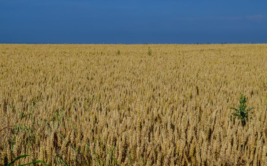 Silo à grains d'une coopérative céréalière dans la Beauce