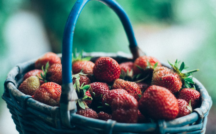 Fraises fraîches dans un panier en osier