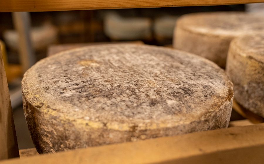 Plateau de fromages français AOP avec Comté, Roquefort et Camembert